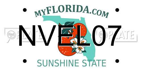 NVEL07 Florida License Plate