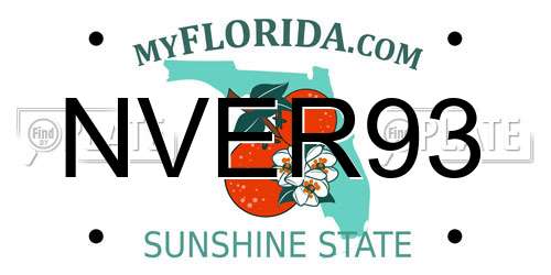 NVER93 Florida License Plate