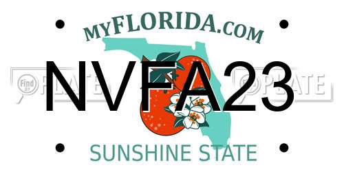 NVFA23 Florida License Plate