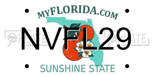 NVFL29 Florida License Plate