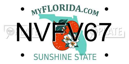 NVFV67 Florida License Plate
