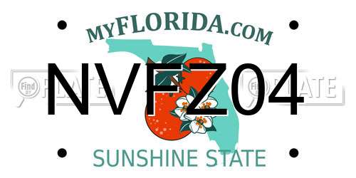 NVFZ04 Florida License Plate