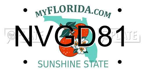 NVGD81 Florida License Plate