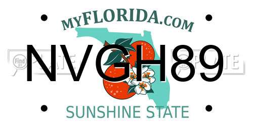 NVGH89 Florida License Plate