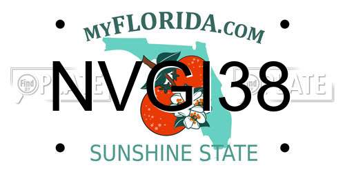 NVGI38 Florida License Plate