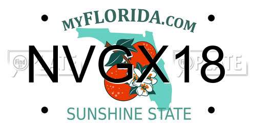 NVGX18 Florida License Plate