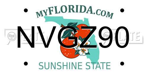 NVGZ90 Florida License Plate