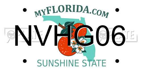 NVHG06 Florida License Plate