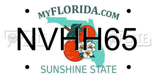 NVHH65 Florida License Plate