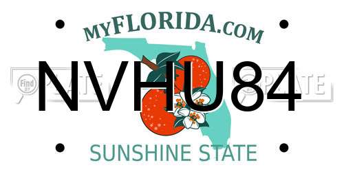NVHU84 Florida License Plate