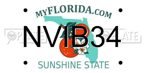 NVIB34 Florida License Plate