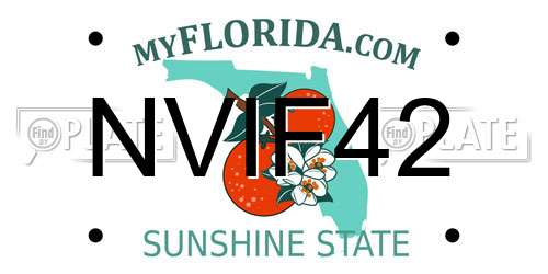 NVIF42 Florida License Plate