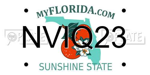 NVIQ23 Florida License Plate