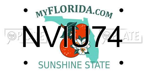NVIU74 Florida License Plate