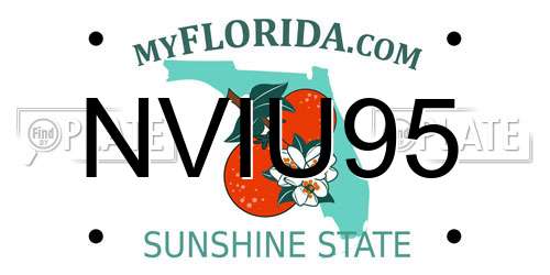 NVIU95 Florida License Plate