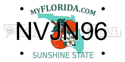 NVJN96 Florida License Plate