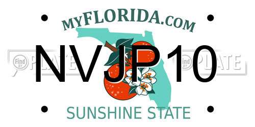 NVJP10 Florida License Plate