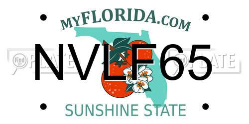 NVLF65 Florida License Plate