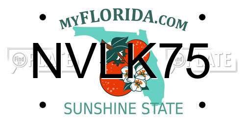 NVLK75 Florida License Plate