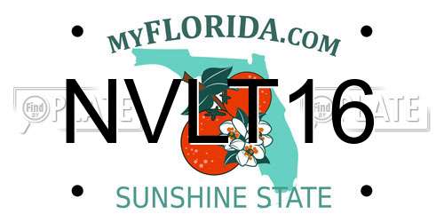 NVLT16 Florida License Plate