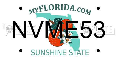 NVME53 Florida License Plate