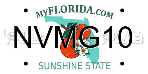 NVMG10 Florida License Plate