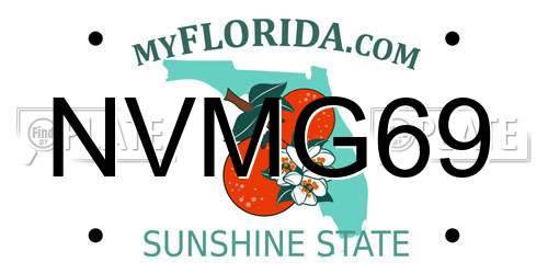 NVMG69 Florida License Plate