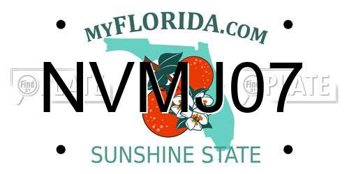 NVMJ07 Florida License Plate