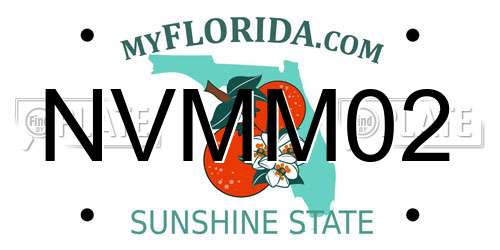 NVMM02 Florida License Plate