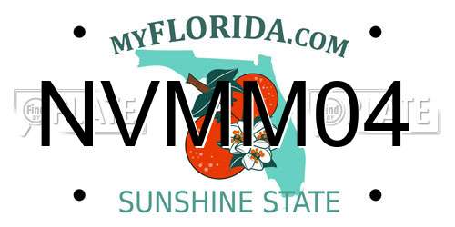 NVMM04 Florida License Plate