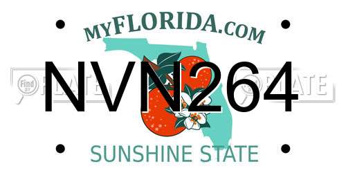 NVN264 Florida License Plate
