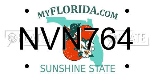 NVN764 Florida License Plate