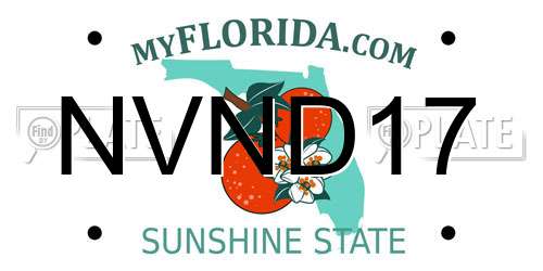 NVND17 Florida License Plate