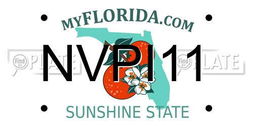 NVPI11 Florida License Plate