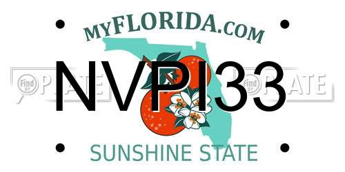 NVPI33 Florida License Plate