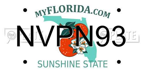NVPN93 Florida License Plate