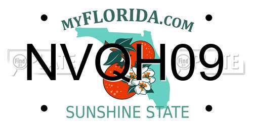 NVQH09 Florida License Plate