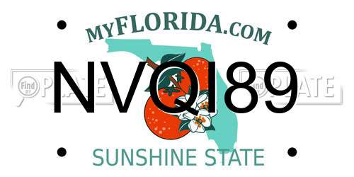 NVQI89 Florida License Plate