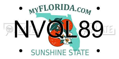 NVQL89 Florida License Plate