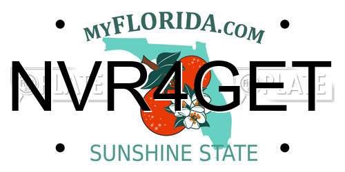 NVR4GET Florida License Plate