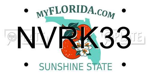 NVRK33 Florida License Plate