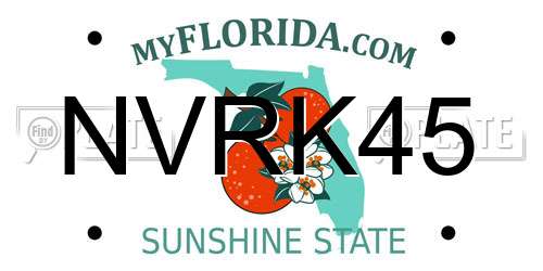 NVRK45 Florida License Plate