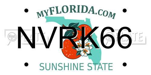 NVRK66 Florida License Plate