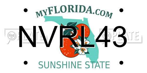 NVRL43 Florida License Plate
