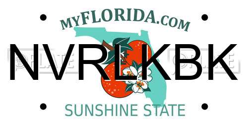 NVRLKBK Florida License Plate