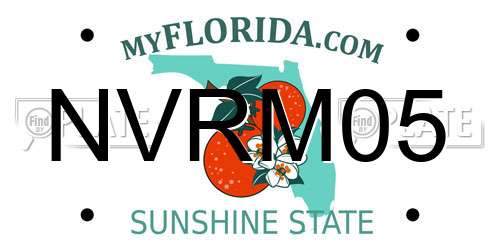 NVRM05 Florida License Plate