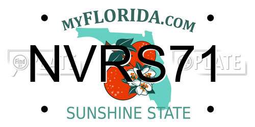 NVRS71 Florida License Plate