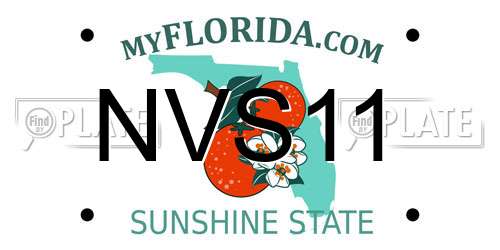 NVS11 Florida License Plate