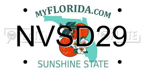 NVSD29 Florida License Plate