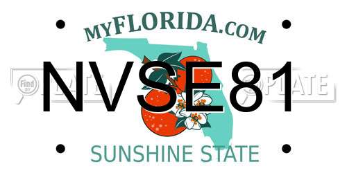 NVSE81 Florida License Plate